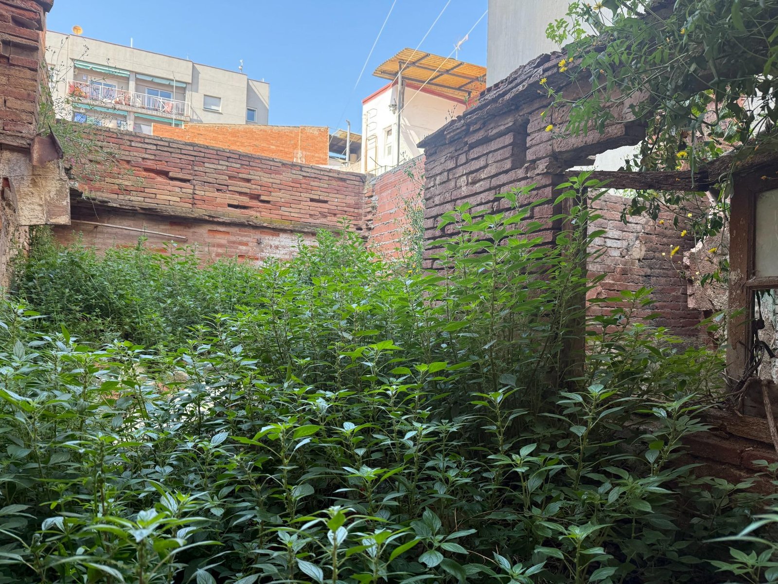 EIXAMPLE - ¡¡¡CASA PARA REFORMAR UBICADA EN UN ENTORNO INMEJORABLE!!!